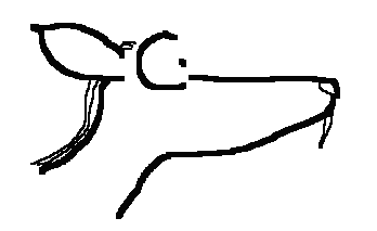 tekening wolvekop